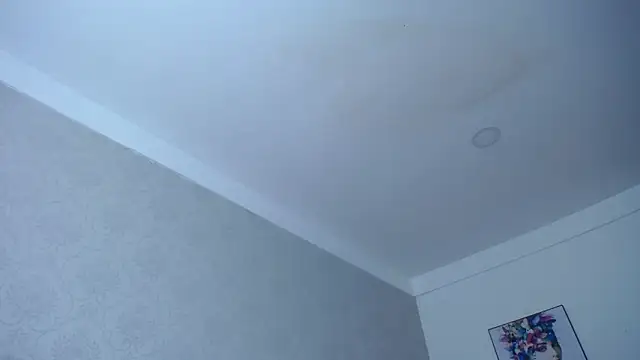 kathe-mills235 webcam