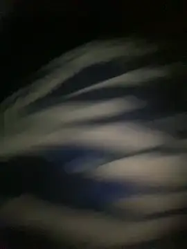 Cardiebae89 webcam