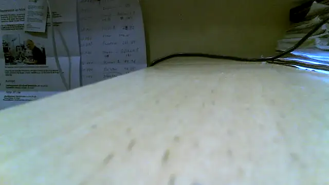 Klipparn webcam