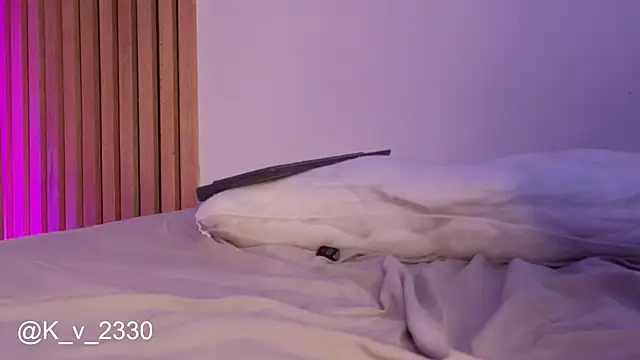 sofiesoft webcam