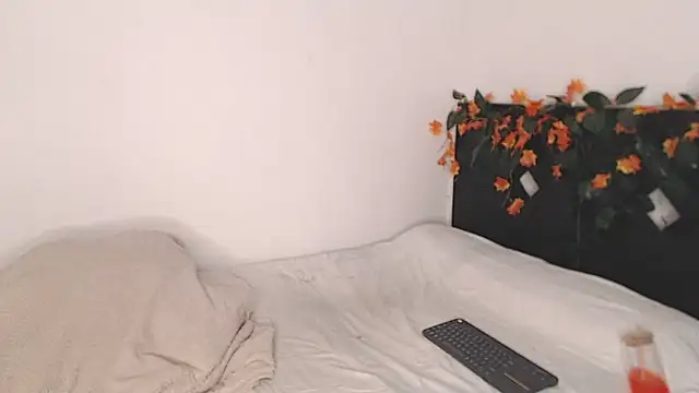 __abrill__ webcam