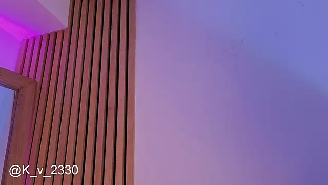 sofiesoft webcam