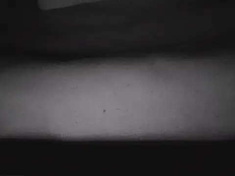 bebrainsmart1 webcam