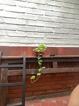AlphaMasterXxx live cam