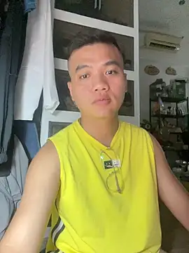 Gockhuatsg webcam