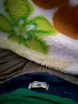 Gallanttrox webcam