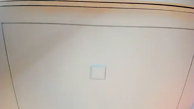 PrincesRosie webcam