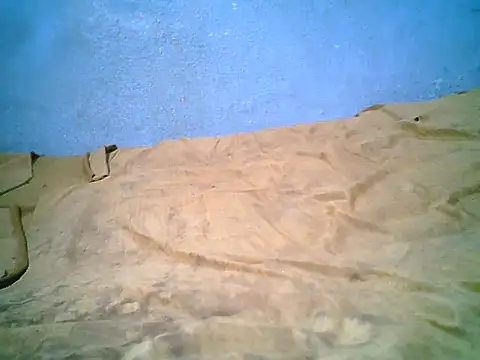 little__joy webcam
