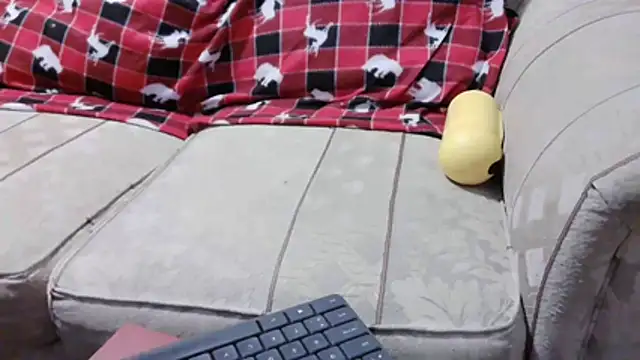 willywet webcam