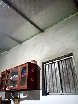 toyo_668 webcam