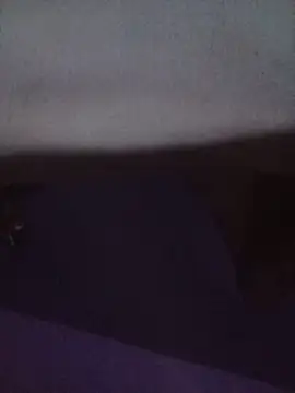 Gil666Hatanal webcam