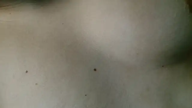 3littles webcam
