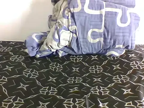 dimphow30 webcam