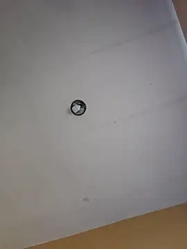 skinnyrox webcam