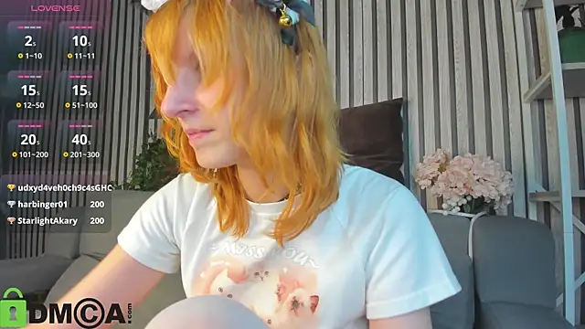 Little_Chips webcam