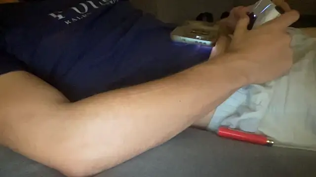 raoulbtnbois webcam