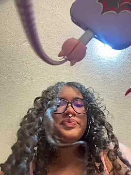 Bunny-fire webcam