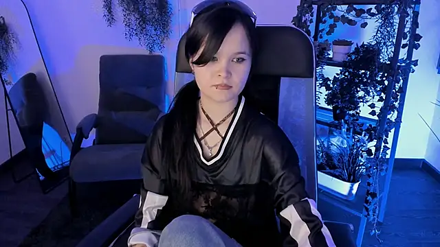 Elainebeness webcam