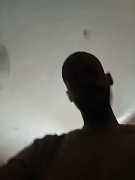 BuirdlyVerse webcam