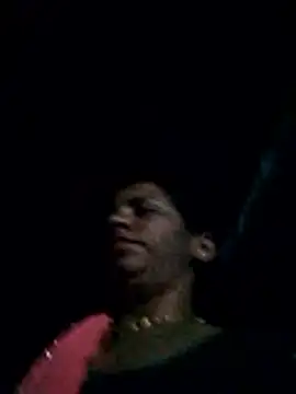 Anitarakkoli webcam
