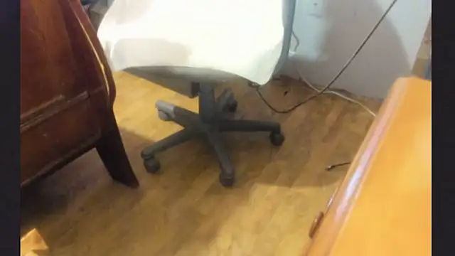 FelixChirp webcam