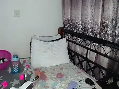 Whimsicalwillow webcam