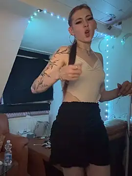 Lina-420 webcam