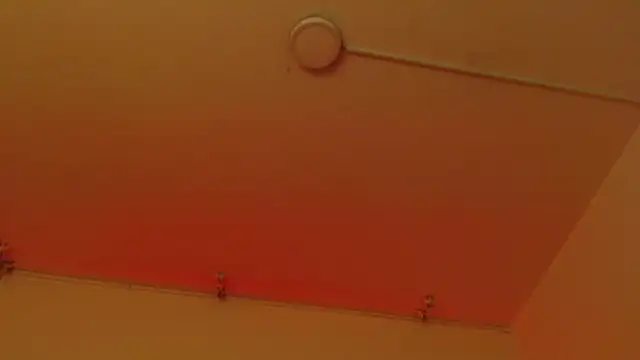 sweetbloomcs webcam