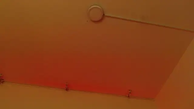 sweetbloomcs webcam