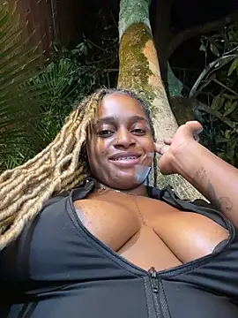 darle_volant webcam