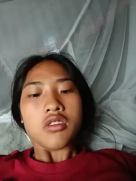 Hoa-tuylip webcam