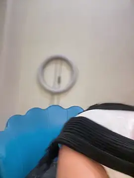 NovaFoxx webcam