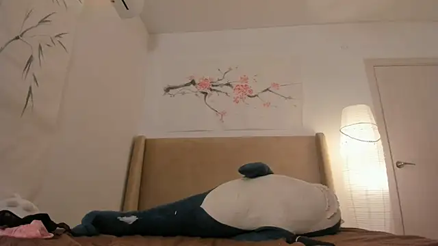 BreezeJam webcam