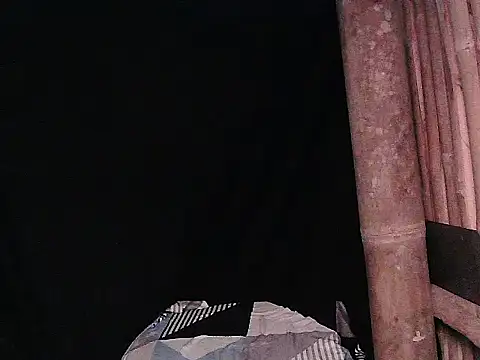 Huntrix2025 webcam