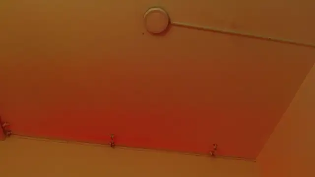 sweetbloomcs webcam