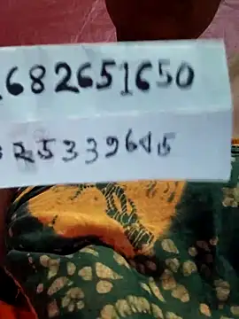 Gulapi_N webcam