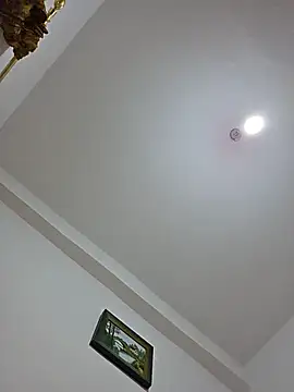 altinya webcam