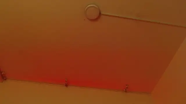 sweetbloomcs - Sweetbloomcs's free webcam - UK Sex Cams