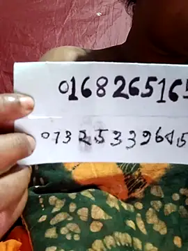 Gulapi_N webcam