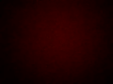 berry_machine webcam