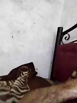 salimbasha webcam