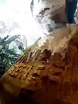 mptan73 webcam