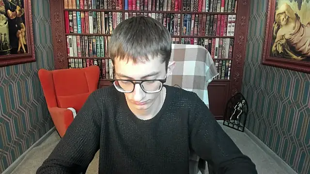 RonBevs webcam
