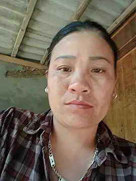 Sine-bo webcam
