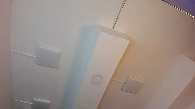 Robin_Rief webcam