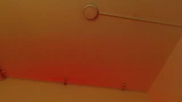 sweetbloomcs webcam