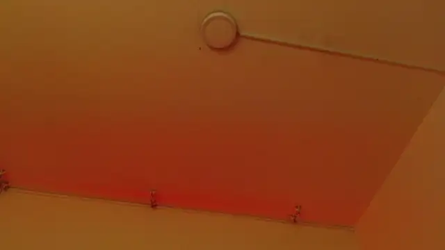 sweetbloomcs webcam