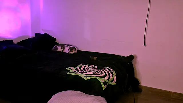 alex_one888 webcam