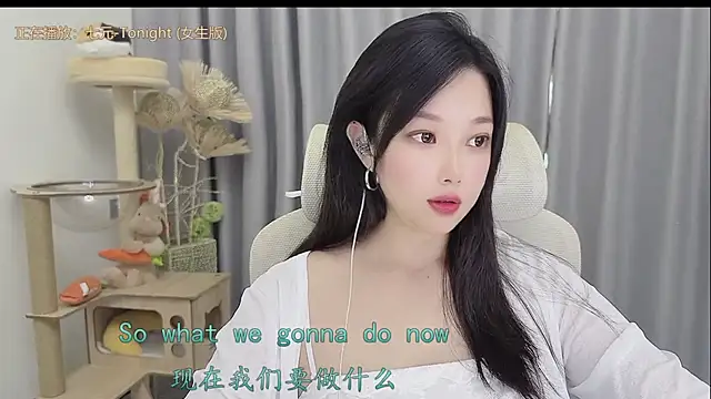 facai-feifei webcam