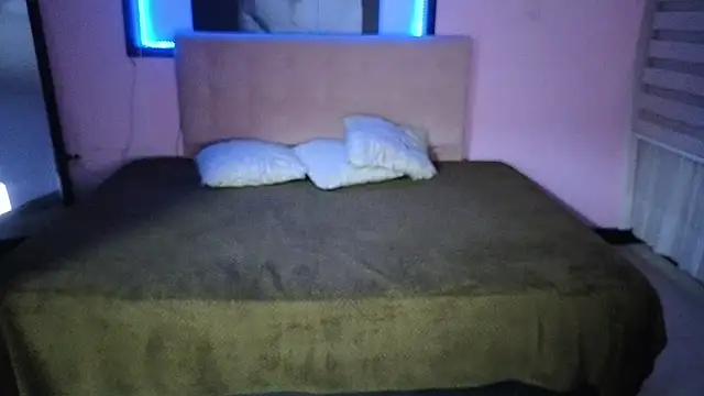 Sweet_cat_t webcam